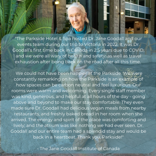 A Statue Of Jane Goodall