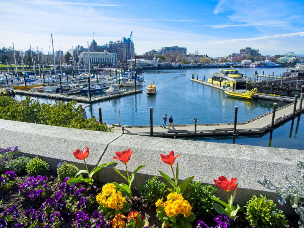 A Body Of Water With Boats In It And Flowers By It