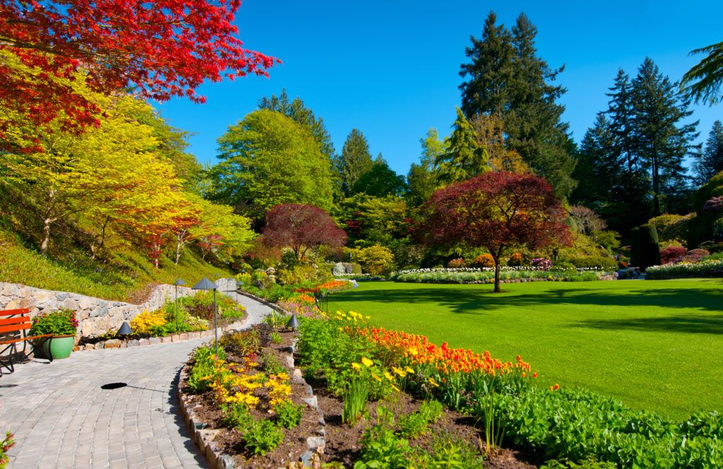 A Beautiful Garden With Trees And Flowers